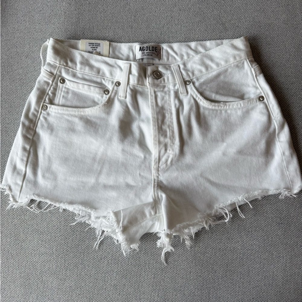 Agolde Parker Vintage Shorts
